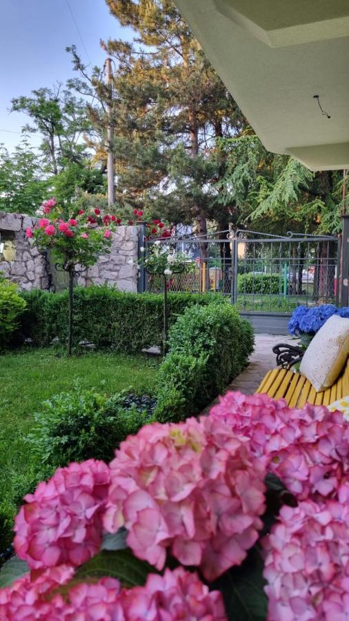 Apartman L&M Cetinje Extérieur photo