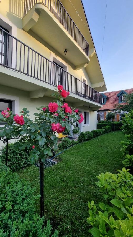 Apartman L&M Cetinje Extérieur photo