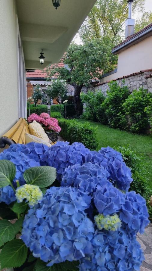 Apartman L&M Cetinje Extérieur photo